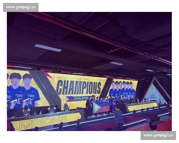 打造全球顶级电竞平台 提升游戏玩家体验与互动新纪元 打造全球顶级电竞平台 提升游戏玩家体验与互动新纪元